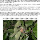 약초이야기 이미지