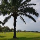 썬라이즈하우스 이미지