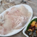 [전북 부안 맛집]격포항 수산시장 횟집추천 및 이용방법(7호점 슬기네)
