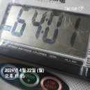 부여초등학교 앞 | 미서니의 4월 네 번째 주(4/22-4/28) 주간 일기