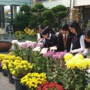 전남여자고등학교 이미지