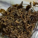 짱아찌삼겹살