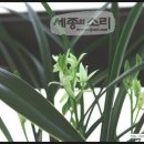 사랑으로 이미지