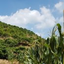 마동2리 이미지