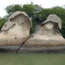 진도대교 민박 이미지