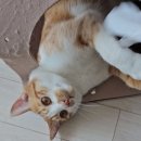블랙업커피롯데광복