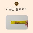 리얼발효 | 속 더부룩할 때 챙겨본 곡물발효효소, 커큐민 발효효소 리얼 후기