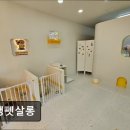 오댕펫살롱 이미지