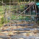 지인농장2 이미지