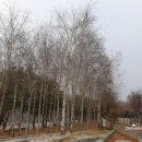 수레울 폭포공원 이미지