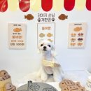 메리몽드 펫살롱 이미지