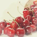 암 치료의 진화, 보험 보장도 함께 진화해야 이미지