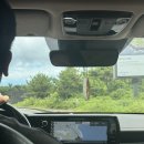 [제주 여행] 휘닉스 제주 : 여름 가족여행 블루동 로얄 룸컨디션 및 수영장 내돈내산 후기