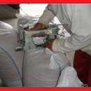 한국인농장 이미지