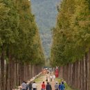 메타세쿼이아+황토길+온천까지!...하루코스, 진짜 힐링이네 이미지