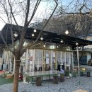 커피먹고가세 이미지