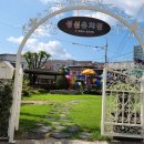 구미성심유치원 이미지