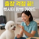 방주동물병원(출장전문) | 출장 갈 때 걱정 끝! 반려동물 펫시터 종류부터 비용, 안전 팁까지 완벽 정리