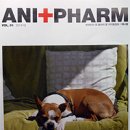 애니팜약국 이미지