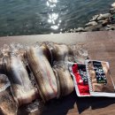 통영Food 이미지