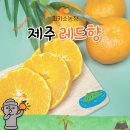 피카소농장