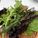 예찬한식 | 대구 월성동 한식 맛집 | 맛질예찬토담 월성대천점 석쇠구이·청국장 후기