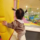 아이들이 좋아하는 장소 추천 구미 헬로쁘띠 키즈카페 후기