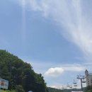 재양지 이미지