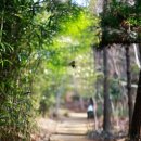 다산초당 | “다산초당, 단순함 속의 아름다움을 기록하다”