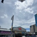 다육세상 | 부안 다육이야기농원 친구랑 전북체험 하고 온 힐링 후기 아이들체험