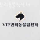 VIP 반려동물 암센터 이미지