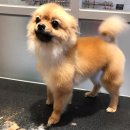 온블리살롱 이미지