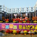 할로 이미지