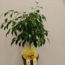 백천대박점핑 이미지