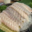 비풍초칼국수 | 천안 비풍초 해산물 불당동 싱싱한 해산물 모둠회 맛집 후기