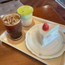 2451 | [파툼커피바] 울산 태화강국가정원 카페 추천 말차크림라떼 추천 분위기 좋은 카페 내돈내산 후기