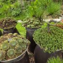 샘골농장 이미지