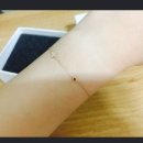 14K 악세사리 정리합니다 이미지