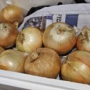 금돈농장 이미지