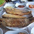 돌고래민박 이미지