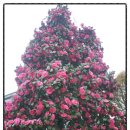 금별농장 이미지