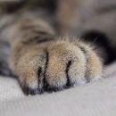 오늘, 그루밍 이미지