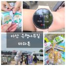 은행나무길카센터 | 아산 은행나무길 마라톤 후기 마라톤준비