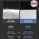버즈핏 이미지