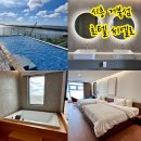 오션파크모텔 | 시흥 거북섬 씨엘로 호텔 수영장 조식 오션뷰 스위트룸 호캉스 후기