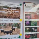 수피아동물병원 | 부산 화명수목원::가족 나들이 가기 좋은 곳/생태체험 초식동물원 숲속전망대