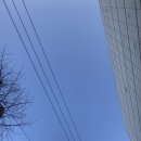 (주)신세계투어 이미지