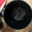 원시쪽갈비(산본점) 이미지