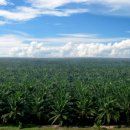 인수농장 이미지