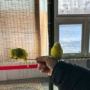 더스윙블랙 포천점 | 포천 데이트코스: 마이애니멀스토리 in 평강랜드 (feat. 테디베어 소, 블랙노즈)💖